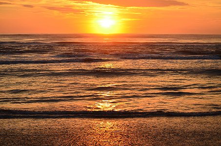 shoreline during golden hour thumbnail
