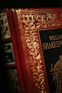 Classic books in elegant covers thumbnail