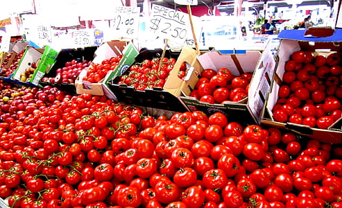 tomatoes on display at market thumbnail