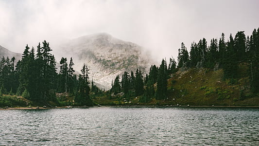 lake surrounded with trees thumbnail