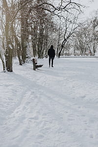 Wintery Park thumbnail