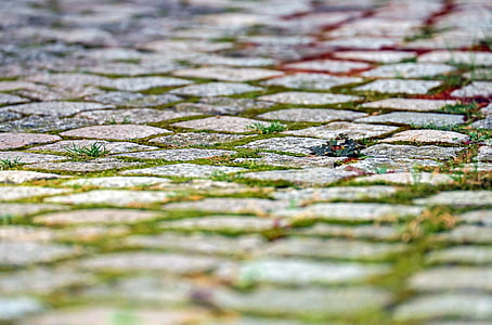 closeup photo of gray stepping stones thumbnail