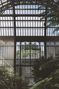 green leafed trees inside black greenhouse thumbnail
