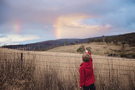 landscape, person, hands, field thumbnail