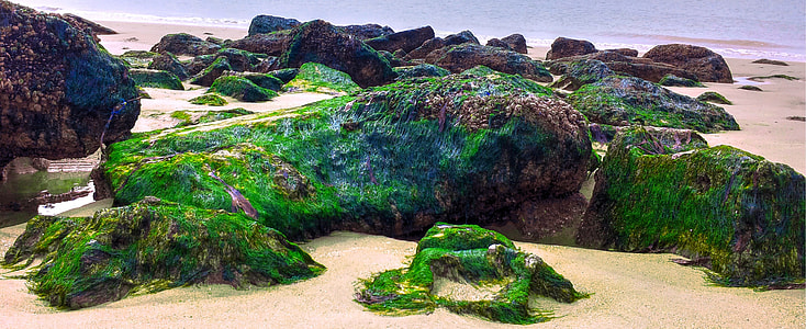 stone fragments with moss on beach shore during daytime thumbnail