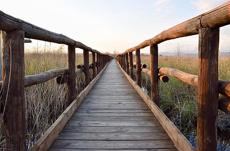 brown wooden boardwalk under white sky thumbnail