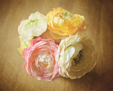 assorted-color Peony flowers thumbnail