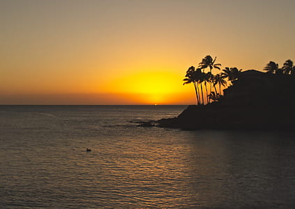 silhouette island during golden hour thumbnail