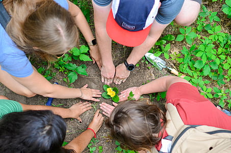 four people planting plant thumbnail