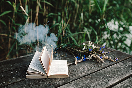 Colorful smoke bomb, book and vintage camera thumbnail