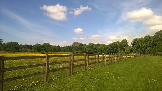 brown wooden fence during daytime thumbnail