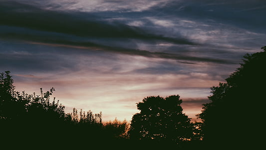 silhouette photo of trees under cloudy sky during golden hour thumbnail