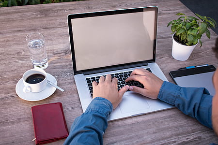 person using MacBook Pro near cup wallet and green plant on table thumbnail