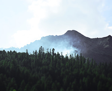 tree covered field near mountain during day thumbnail