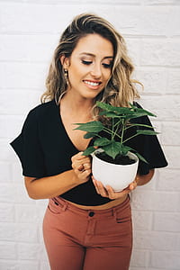 woman wearing black V-neck crop shirt holding white pot with green poinsettia plant beside white concrete painted wall thumbnail