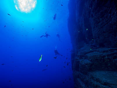 underwater photography of divers thumbnail