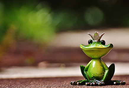 shallow focus photo of green frog figurine thumbnail