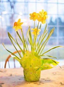 yellow daffodil flower arrangement in green wrapper thumbnail