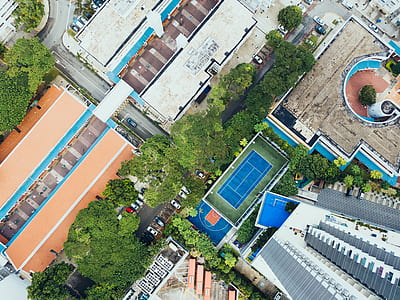top view photo of high rise buildings and trees thumbnail