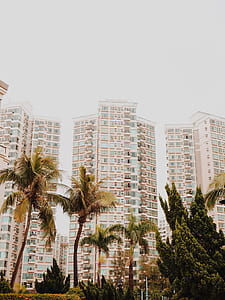 white high-rise building during daytime thumbnail