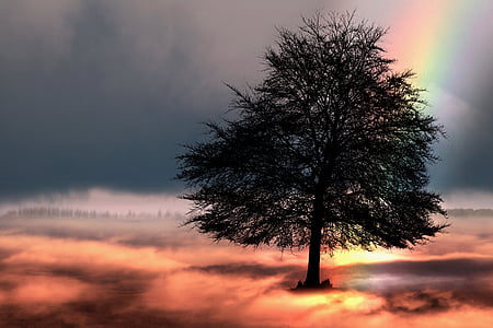 silhouette of tree 3D wallpaper thumbnail