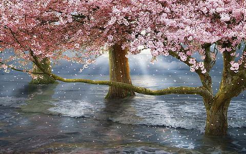 landscape photography of pink leafed trees digital wallpaper thumbnail