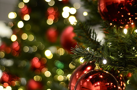 bokeh photography of red baubles thumbnail