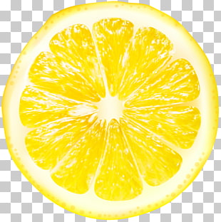 Lemon Juice Grapefruit Citron Citrus junos, Lemon Slices Transparent , slice lemon PNG clipart
