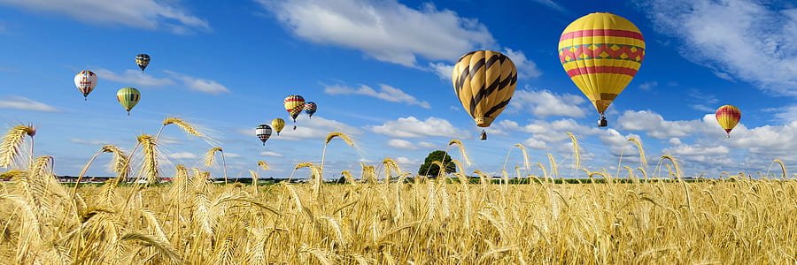 hot air balloons thumbnail