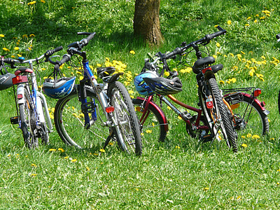 four hard-tail mountain bikes parked at grass land during daytime thumbnail
