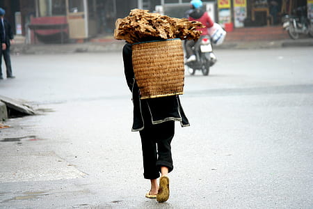 person carrying wicker basket with log while walking on road thumbnail