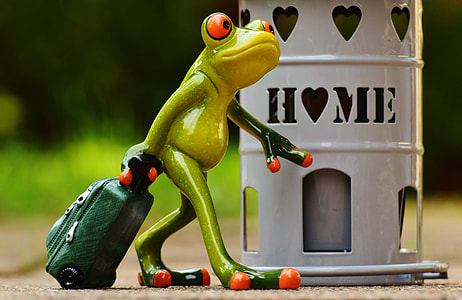 frog holding luggage figurine thumbnail