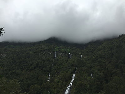 green leaf trees under cumulus clouds thumbnail