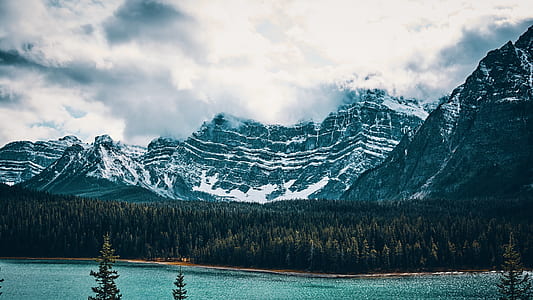 body of water beside pine trees and ice capped-mountain under white cloudy skies thumbnail