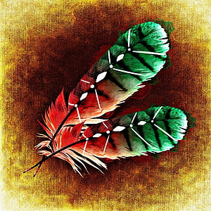brown-and-red feathers illustration thumbnail