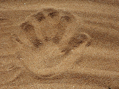 Palm Print on Sand thumbnail