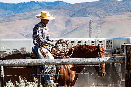 Photography of a Man Riding Horse thumbnail