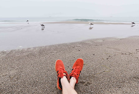person wearing red-and-black Adidas low-top sneakers on the beach during day thumbnail