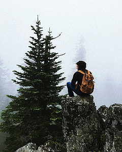 close up photo of man sitting on the rock in front of pine tree thumbnail