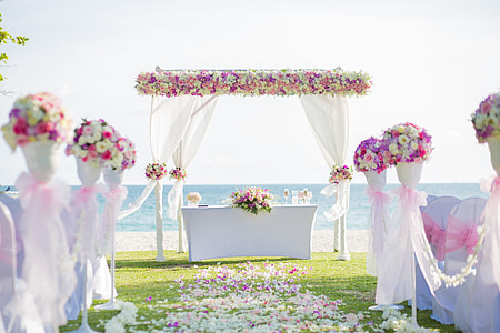 white, pink, and yellow floral wedding arch during daytime thumbnail