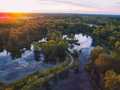 birds eye photography of forest near body of water thumbnail