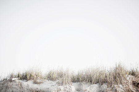 brown grass field with snowfield thumbnail