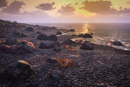 landscape photo of seashore during golden hour thumbnail