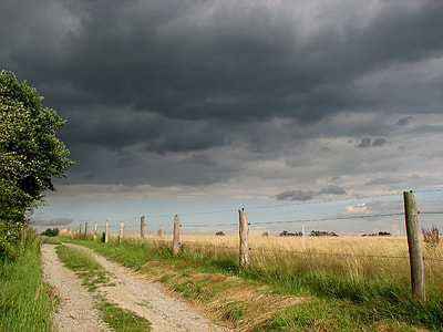 photo of wheat plant with wired fence under nimbus clouds thumbnail