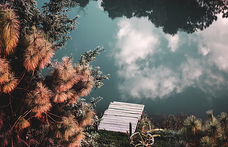 Reflection of Trees in the Lake thumbnail