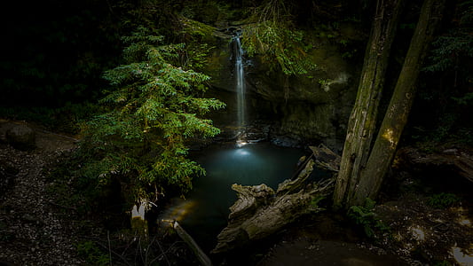 waterfalls between trees at daytime thumbnail