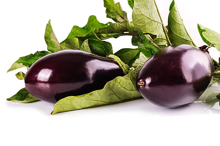 purple eggplants on white panel thumbnail