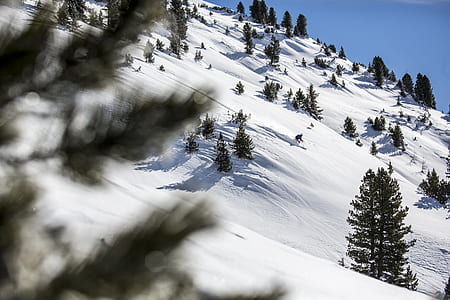 snowy mountains and pine trees thumbnail