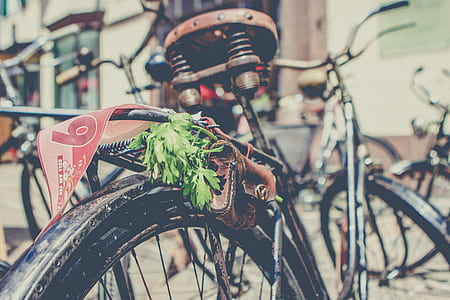 shallow focus photography of bicycle thumbnail