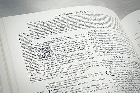 closeup photo of opened book thumbnail